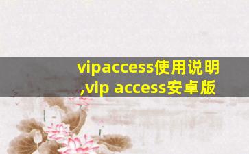vipaccess使用说明,vip access安卓版